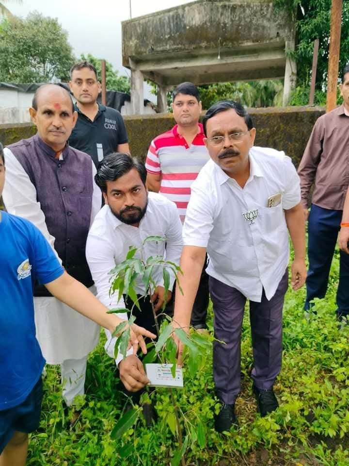 Tree plantation event