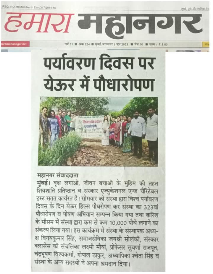 Media & News 13