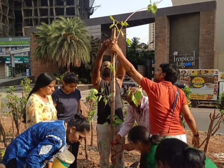 Planting Activities 18