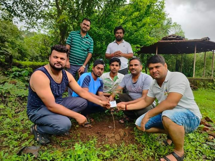 Planting Activities 2