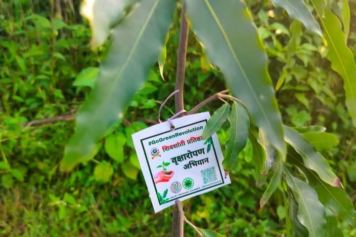 Planting Activities 21