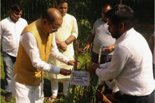 Planting Activities 23