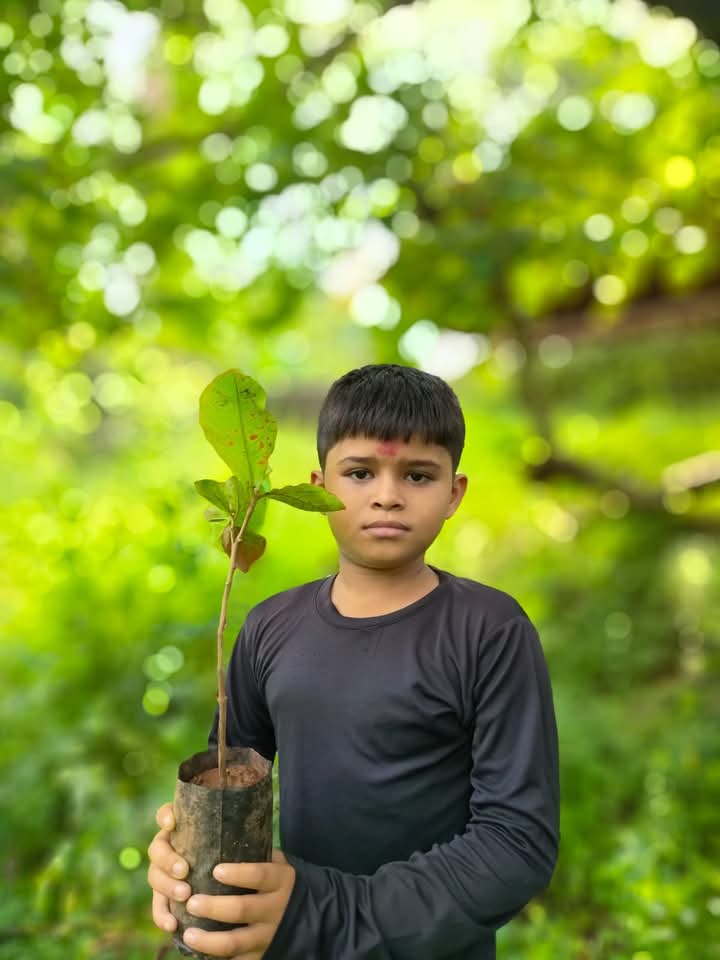 Planting Activities 25