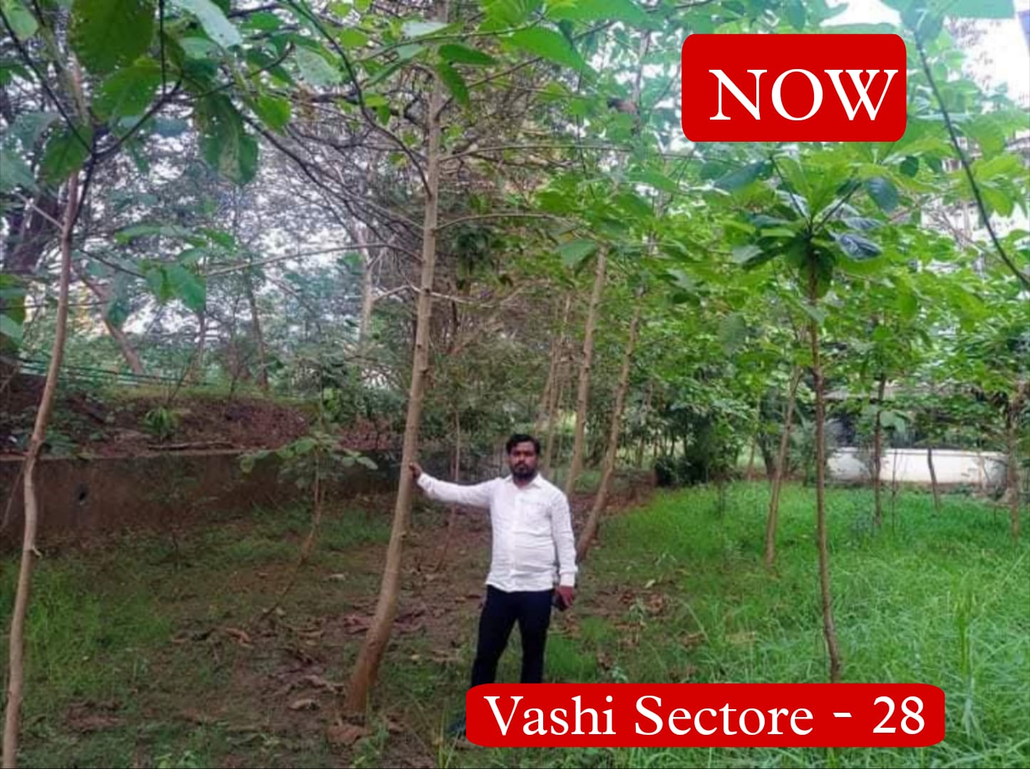 Planting Activities 29