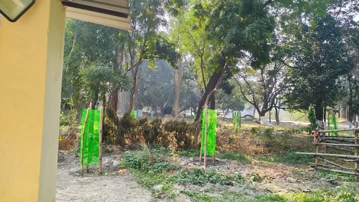 Planting Activities 30