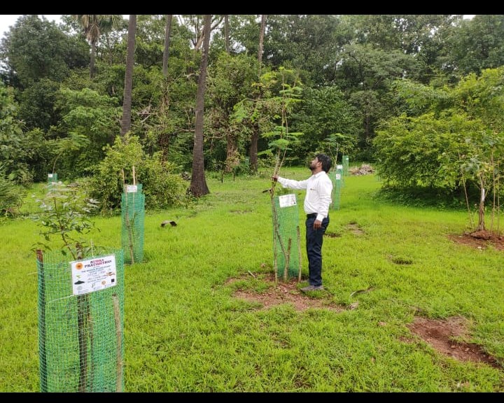 Planting Activities 6